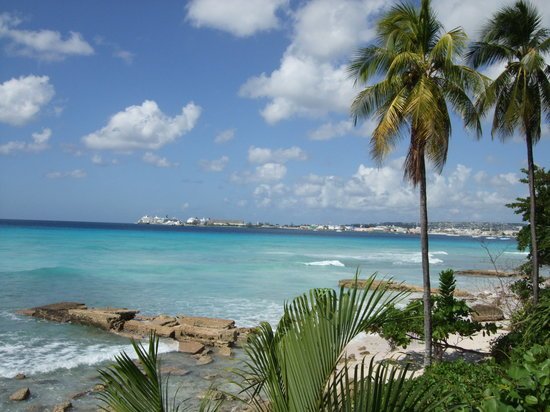 viewofbayfromhilton-1.jpg
