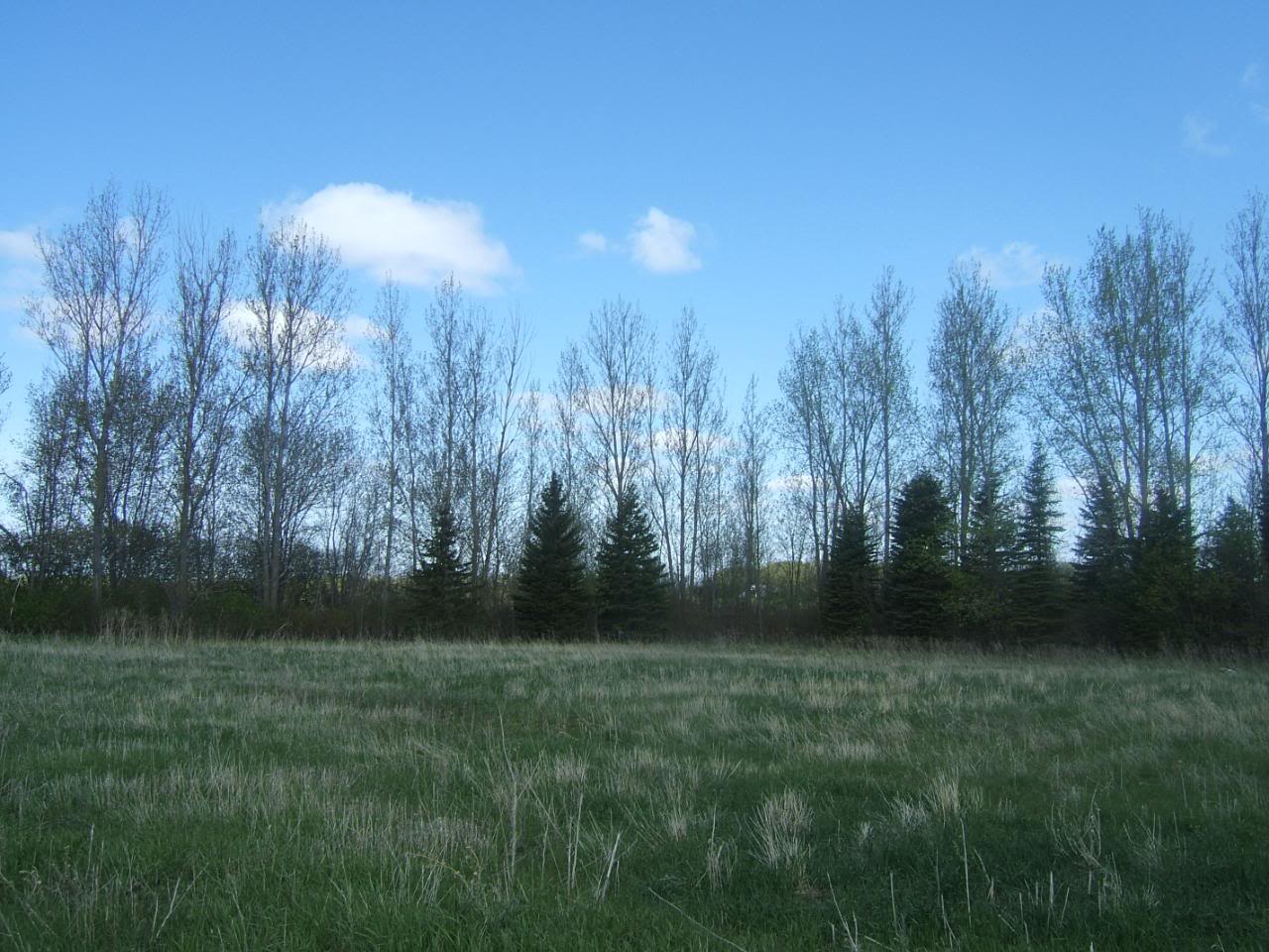 DSCF5154-1.jpg