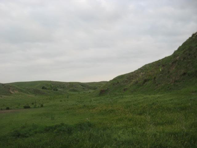 IMG_4543-1.jpg