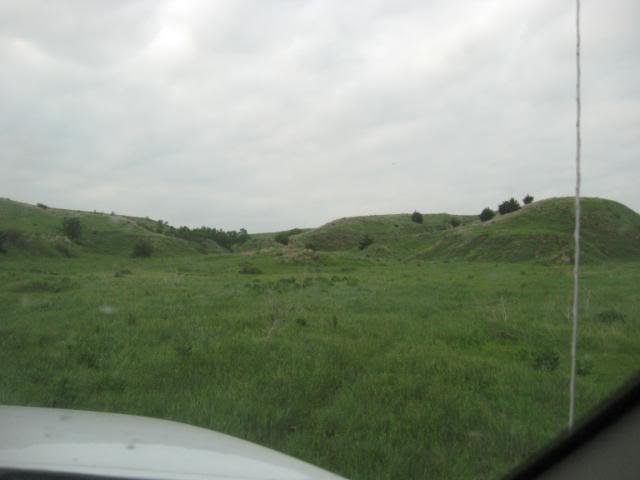 IMG_4546-1.jpg