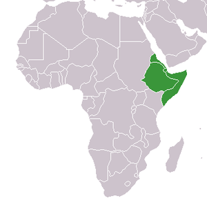 africacountrieshorn-1.png