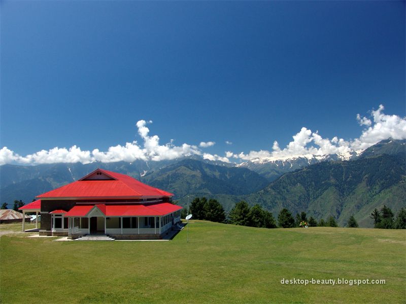 shogran-1.jpg