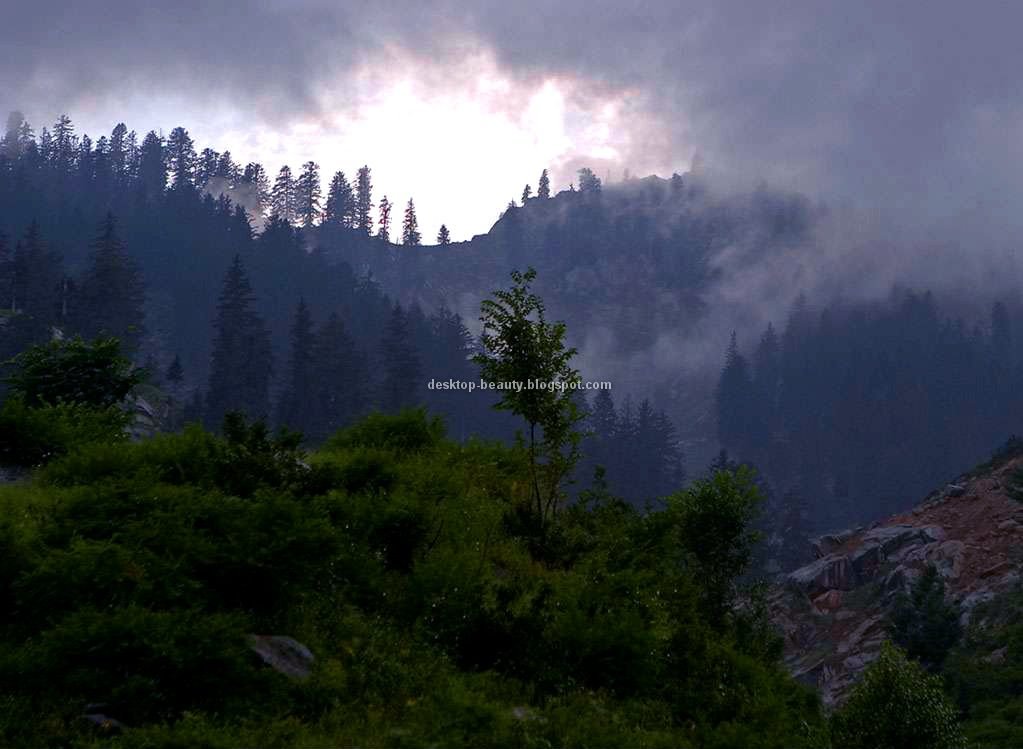 zarkhana2Blower2Bchitral-1.jpg