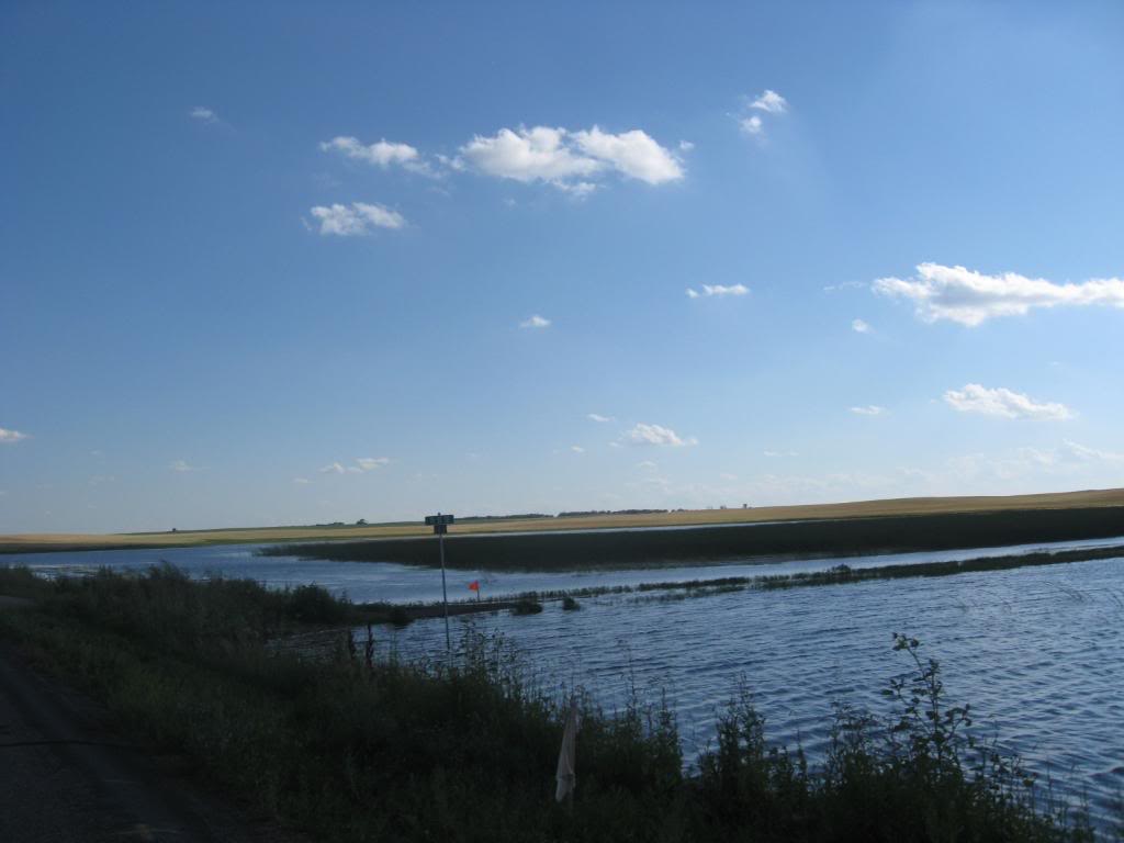 IMG_5436-1.jpg