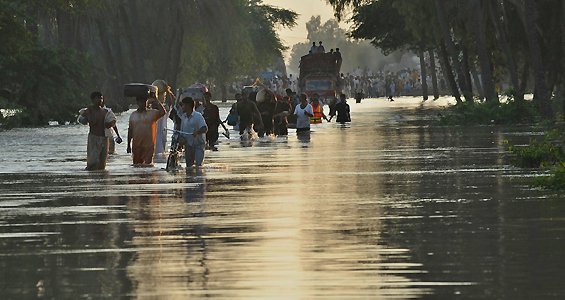 201081154749363734_20-1.jpg