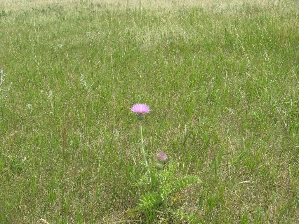 IMG_5364-1.jpg