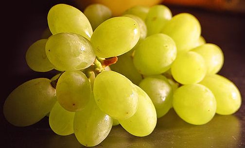 grapes-1.jpg