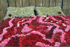 BedOfRoses-1.jpg