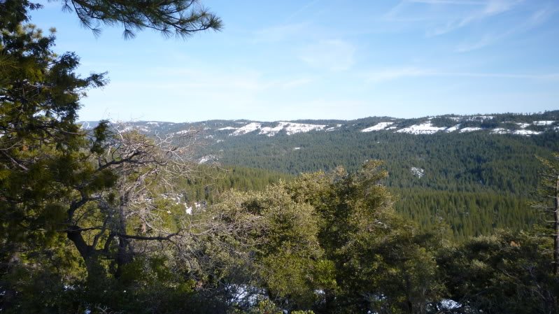 P1000328-1.jpg