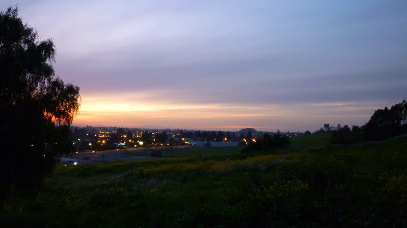P1000346-1.jpg
