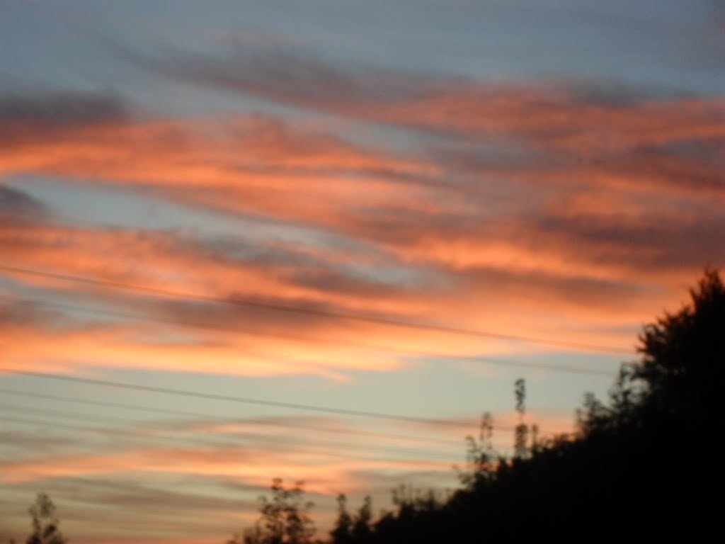 SAM_0082-1.jpg
