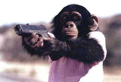 monkeygun-1.jpg