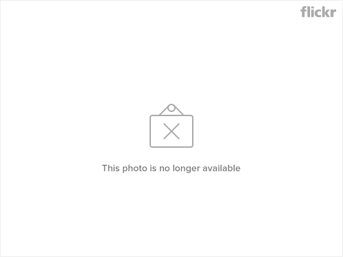 4642933156_75ccbf821d_o-1.gif