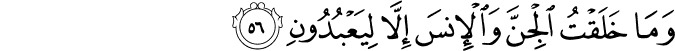 51_56-1.png