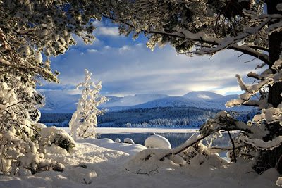 Breathtaking_Examples_of_Nature_Photogra-3.jpg