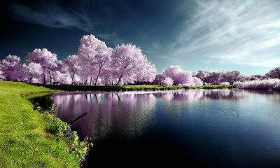Breathtaking_Examples_of_Nature_Photogra-4.jpg