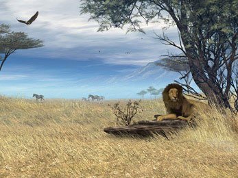 ad_Savannah_Safari-1.jpg
