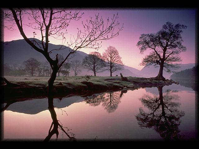 amazing_nature_photo_4-1.jpg