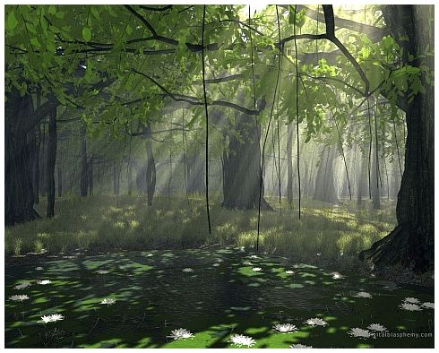 beautifulnatureforestgreenstunningamazin-1.jpeg
