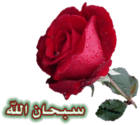 dhikr2-1.gif