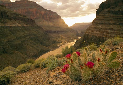 endlessgrandcanyon651123ga-1.jpg