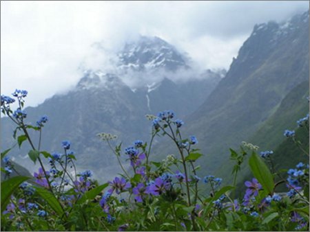 valley of flowers 1 - Two easy words that are Dear to Allah and light on our tongue when recited