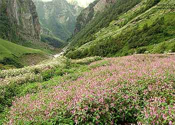 valleyoffloweruttaranchal 1 - This will force me to sin/quit