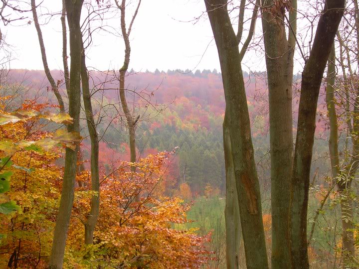 ChilternHills-1.jpg