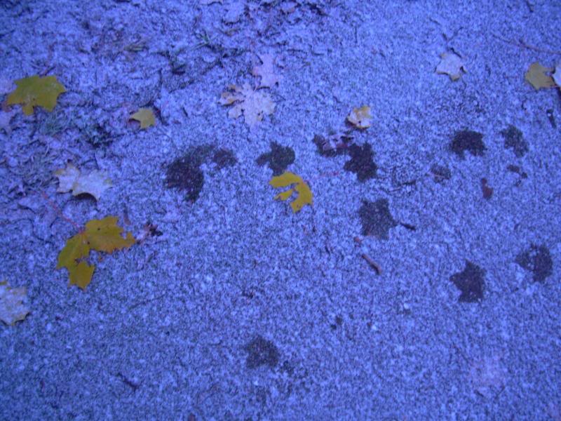 DSCN9923-1.jpg
