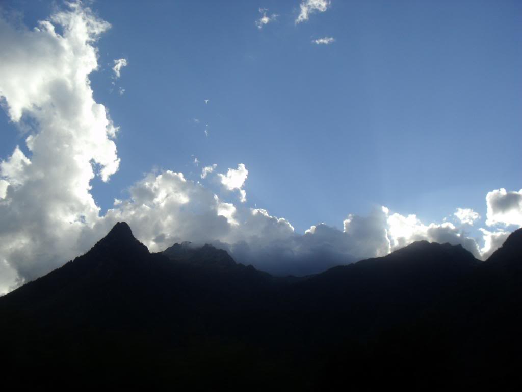 SAM_0186-1.jpg
