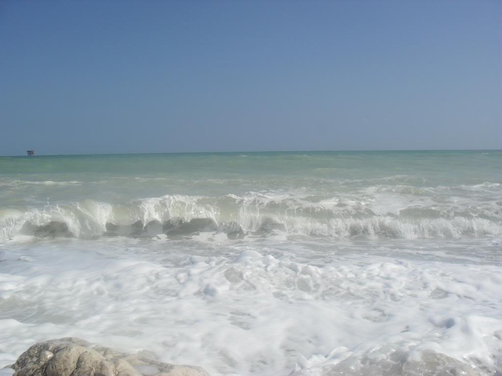 SAM_0311-1.jpg