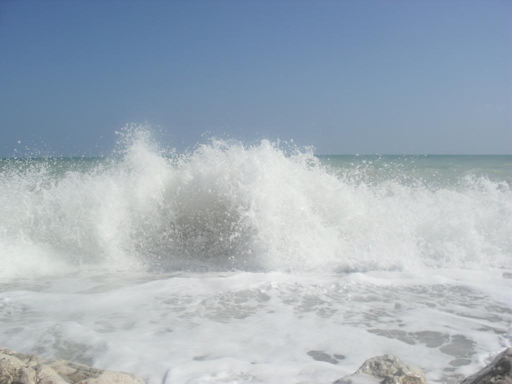 SAM_0314-1.jpg