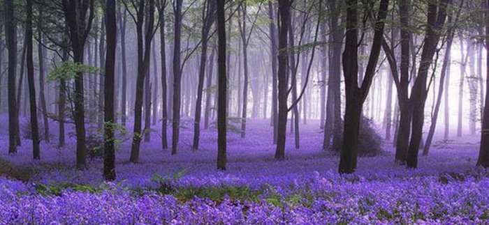 beautifulscenery22-1.jpg
