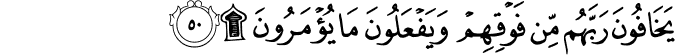 16_50-1.png