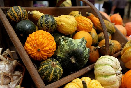 201010181417562mixedgourdsareexhibitedat 1 - Autumn Harvest Gourds