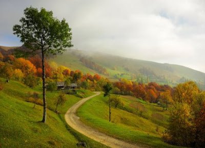 beautyofnatureflickzzzcom026701773-1.jpg