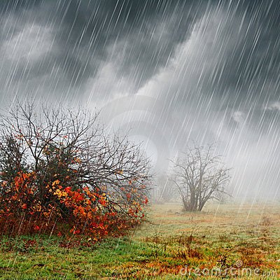 falllandscapeinrainandfogthumb10294670-1.jpg