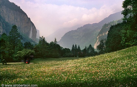lauterbrunnenwildflowers2b-1.jpg
