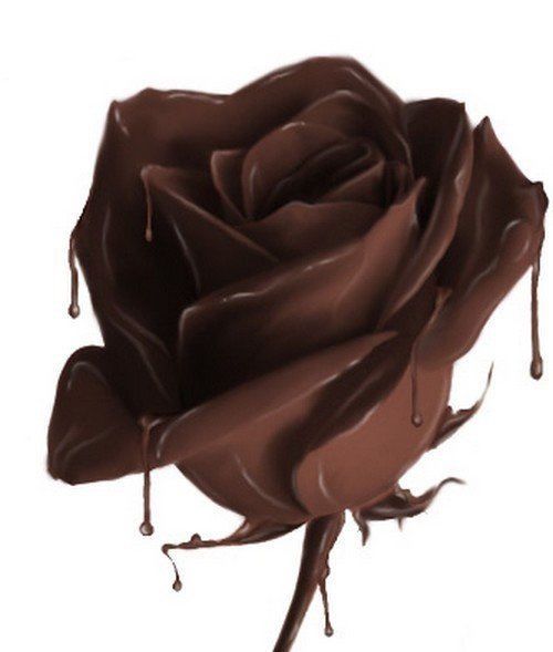 ChocolateRose-1.jpg