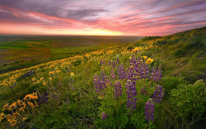 HD_beautiful_nature_landsacpe_1920RCRL_7-1.jpg