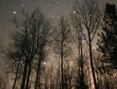 OrionstarsintreesOct17_2010S400x304-1.jpg