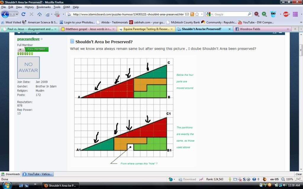 TRIANGLE 1 - Shouldn't Area be Preserved?