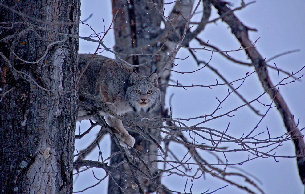 n34 janetchester 1 - National Geographic's Photography Contest 2010.