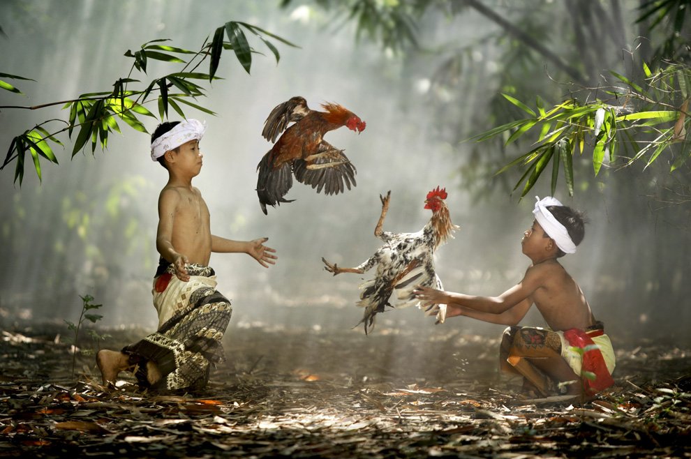 n35 ariowibisono 1 - National Geographic's Photography Contest 2010.