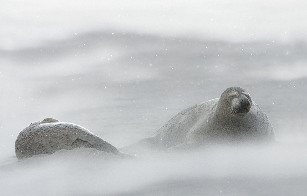 n38 ericgarnett 1 - National Geographic's Photography Contest 2010.