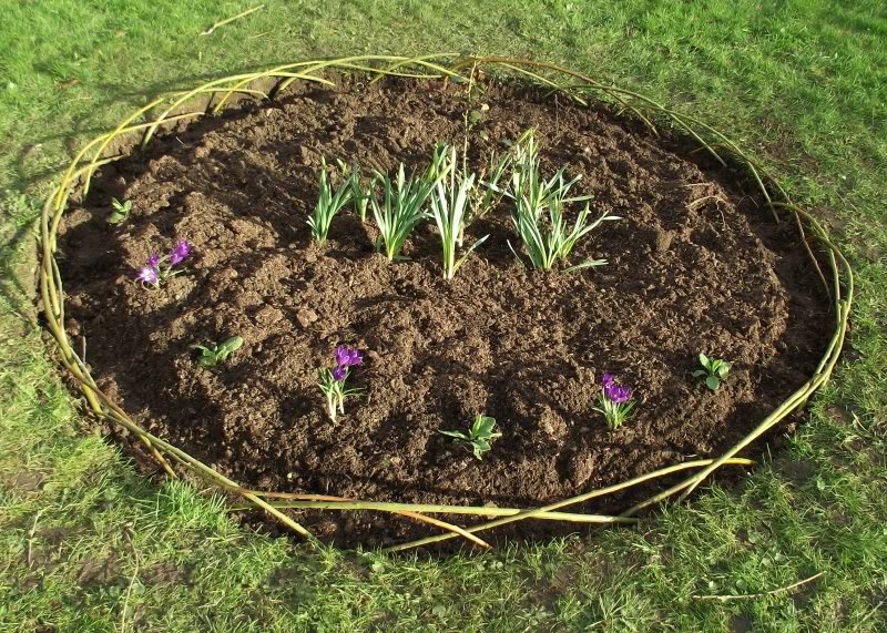 2011_0224flowerbed-1.jpg