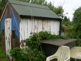 260810shed-1.jpg