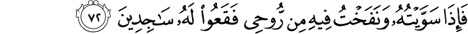 38_72-1.png