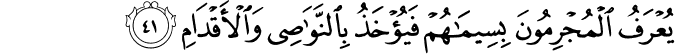 55_41-2.png