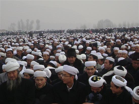 cinamuslim-1.jpg